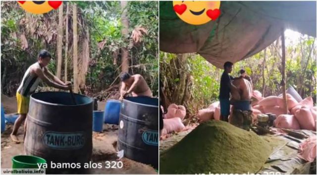 Arrestan a dos jóvenes ‘pisa coca' que presumían sus actividades en TikTok
