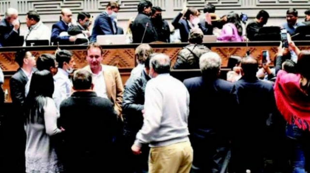 Diputada dice que el MAS analizará qué opositores "les caen mejor" para la Comisión de Ética