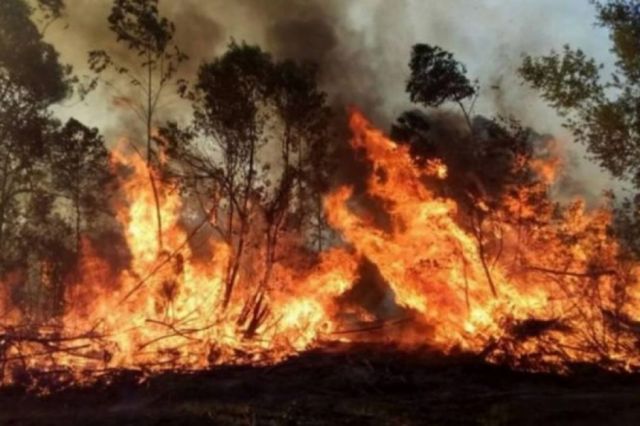 Reportan seis incendios activos en Argentina