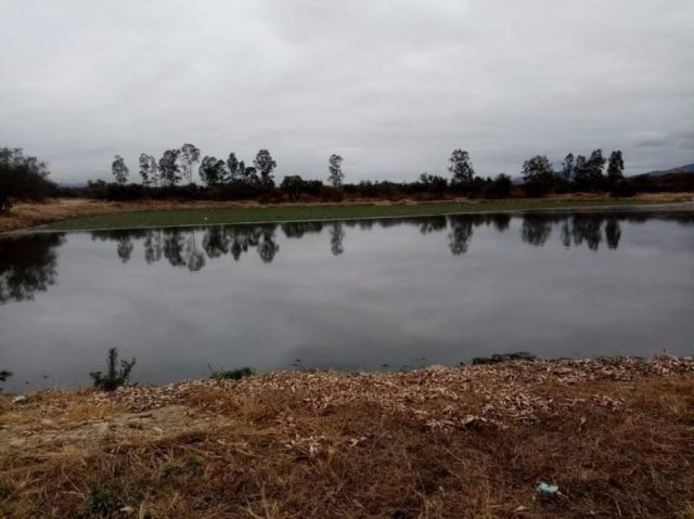 Panique: Por las lagunas en San Luis respiramos ácido sulfhídrico