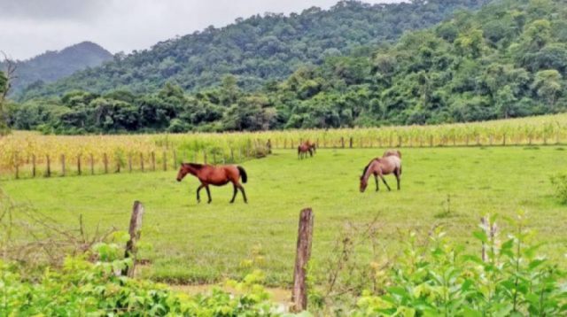 Padcaya aprueba y confirma el ingreso de YPFB a Astilleros