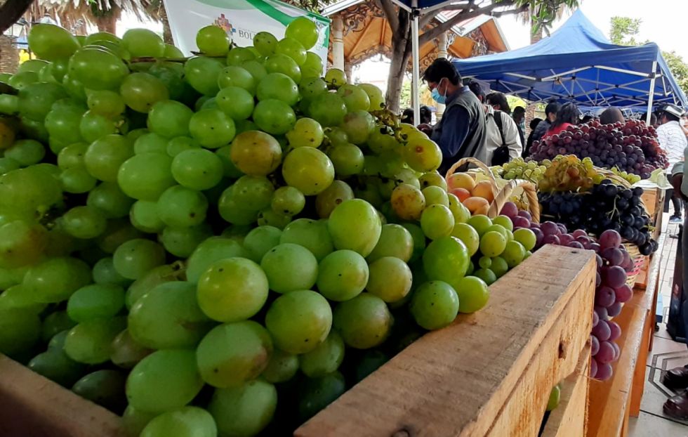 La venta de uva en los mercados del país mueve hasta $us 40 MM