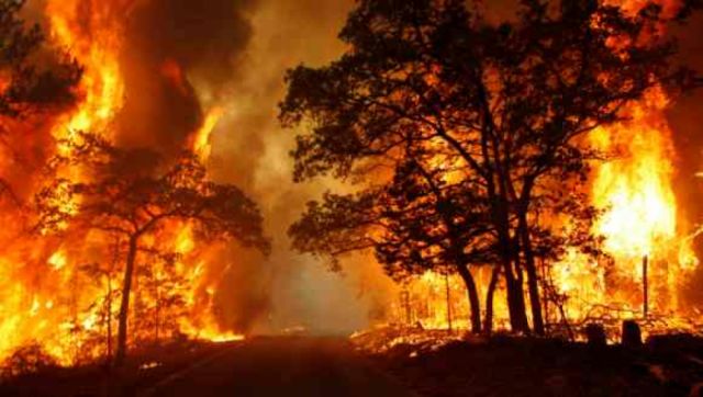 Incendios forestales causan estragos en Texas, EEUU