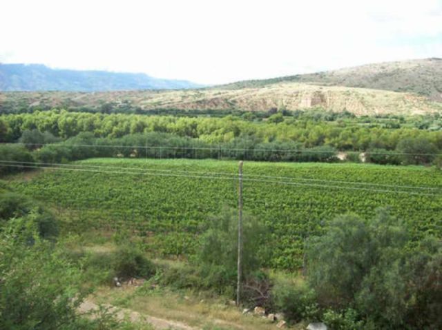 Gobierno prevé implementar cinco plantas ecológicas para fomentar la producción orgánica