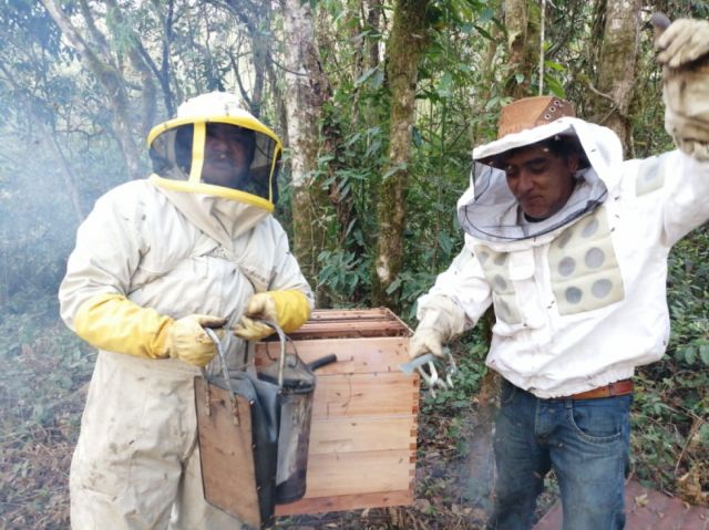 Con microcréditos, Ecofuturo impulsa la economía de los tarijeños 