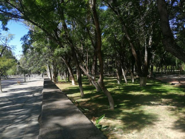 Imágenes pintorescas de la ciudad de Tarija
