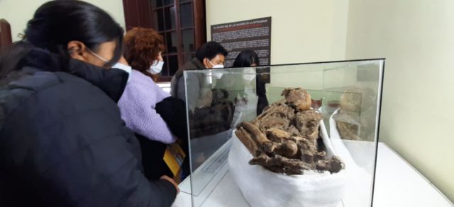 Interior del Museo Paleontológico