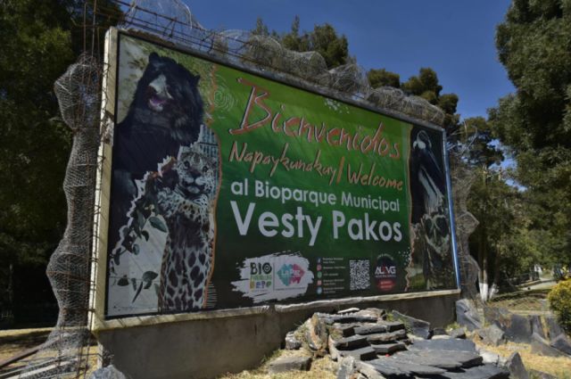 Suspenden funciones del Vesty Pakos tras develar muerte de 88 animales 