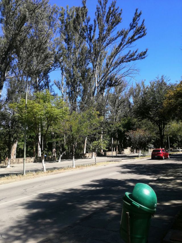 Imagenes de Tarija