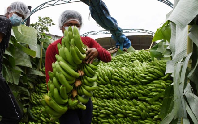 Exportaciones bolivianas se incrementan en 34%