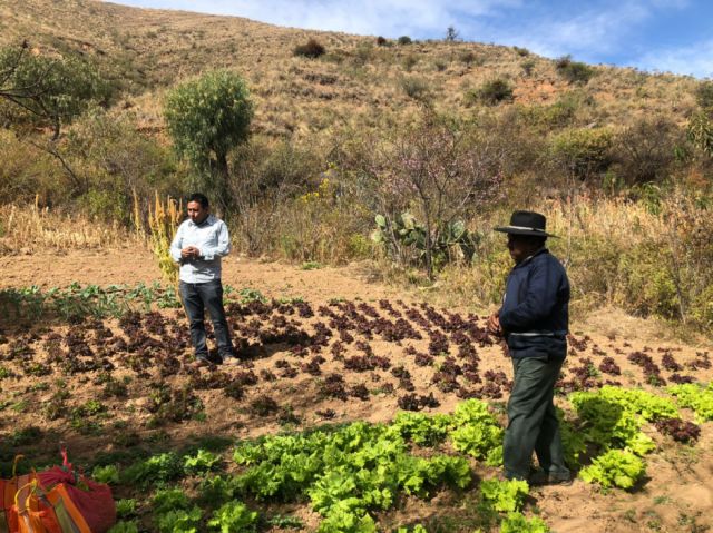 Relatando las técnicas de cultivo