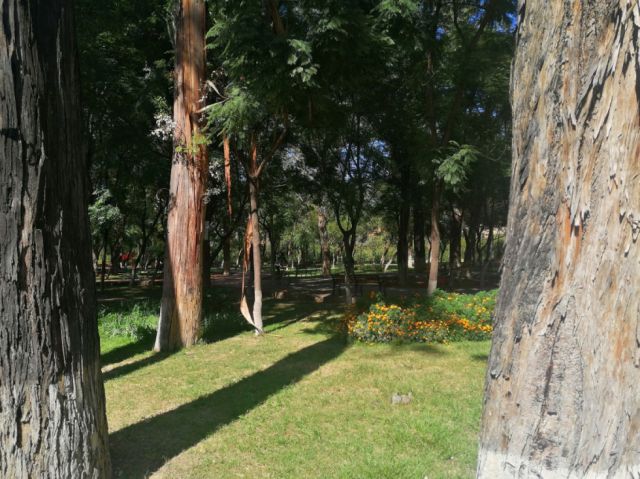 Paisajes
