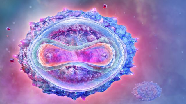 Científicos sugieren que la viruela del mono ha mutado a un ritmo mucho más rápido de lo esperado tras pasar por una "evolución acelerada"