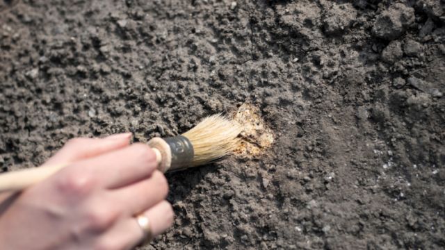 Un niño argentino de 8 años descubre el cráneo de un camélido sudamericano que vivió hace más de 400.000 años