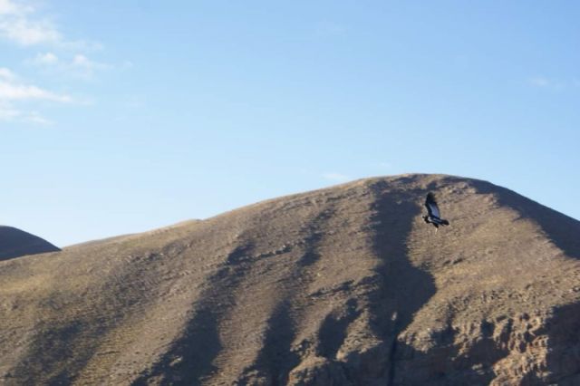 La zona se encuentra en el municipio de Yunchará 