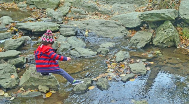 Qué aprenden los niños en la  naturaleza y por qué la necesitan 