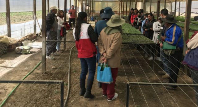 Alcaldía implementa 160 huertos urbanos en barrios periféricos