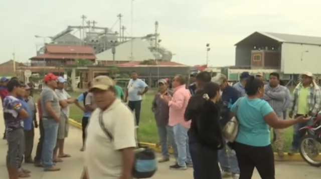 Productores cruceños denuncian ingreso de maíz transgénico a Emapa proveniente de Argentina