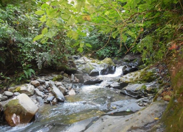 Sendero Turístico Cascada Yucupi