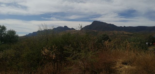 Chaguaya
