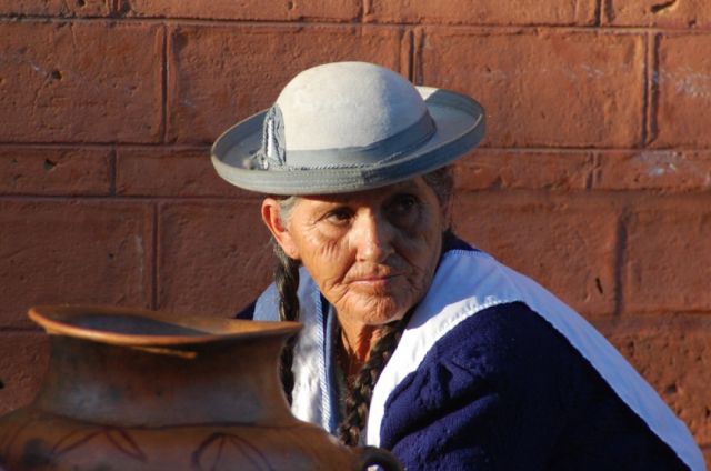  El sentido de la salvaguarda