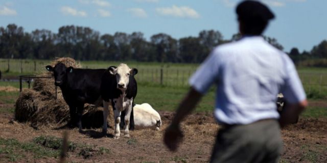 ¿Puede América del Sur reducir sus emisiones de metano en corto plazo?