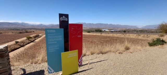 Casa Real apuesta por el turismo y promociona la Ruta del Singani