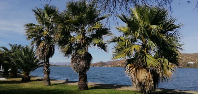 El verde-azulado Lago San Jacinto