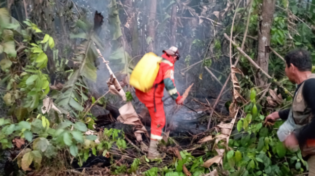 ¡Desesperación!, hace 10 días arde el parque Iténez en el Beni, piden ayuda al Gobierno