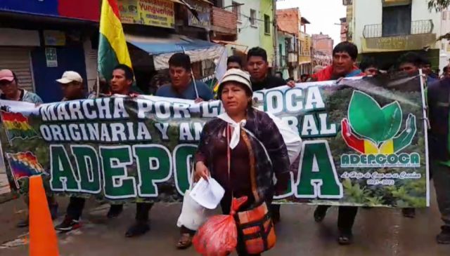 Cocaleros de Yungas inician masiva marcha rumbo a La Paz; exigen cierre inmediato del mercado paralelo