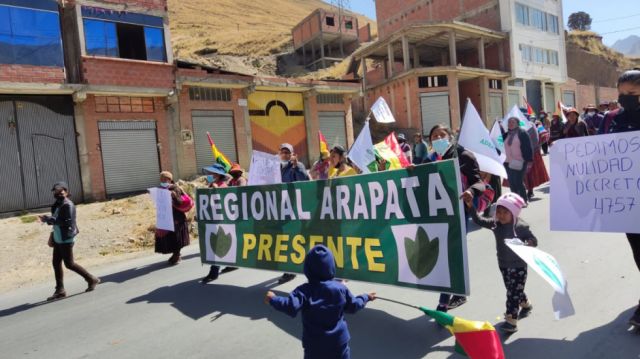 Marcha de cocaleros 