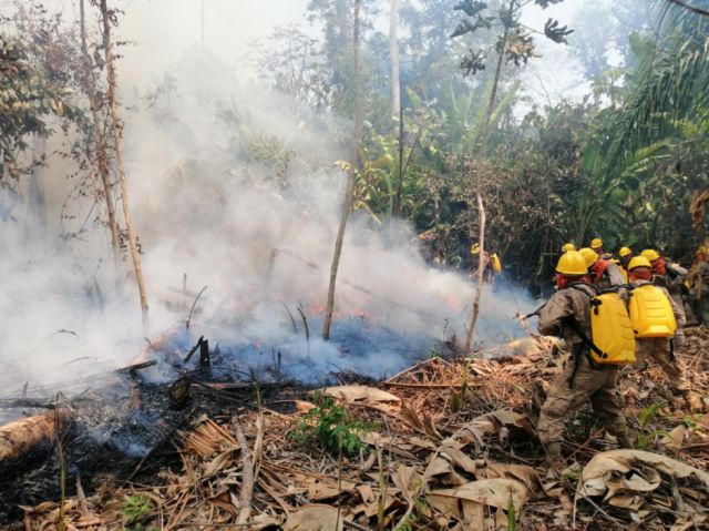 Incendios en Bolivia están por consumir el millón de hectáreas 