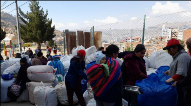 Viceministro Silva dice que la venta de coca en Villa el Carmen es ilegal y anuncia operativo Viceministro Silva dice que la venta de coca en Villa el Carmen es ilegal y anuncia operativo