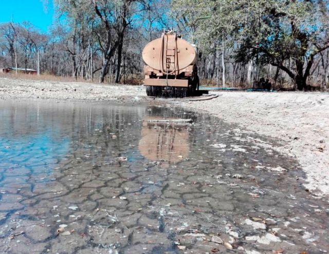 Villa Montes: La sequía afectó el 80% de la producción agrícola Villa Montes: La sequía afectó el 80% de la producción agrícola