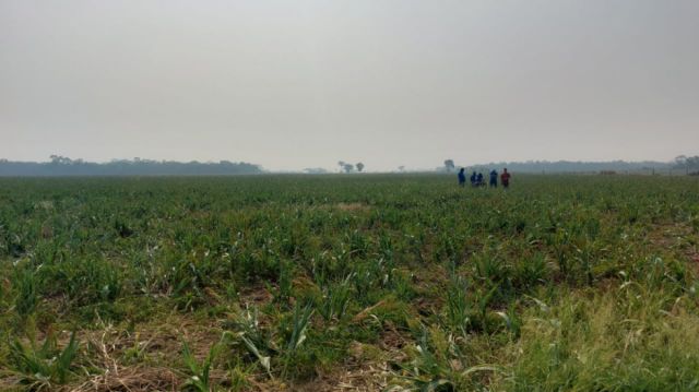 El INRA advierte que no tolerará avasallamientos 