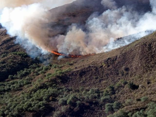 Incendio en San Lorenzo afecta 400 hectáreas y continúa activo Incendio en San Lorenzo afecta 400 hectáreas y continúa activo