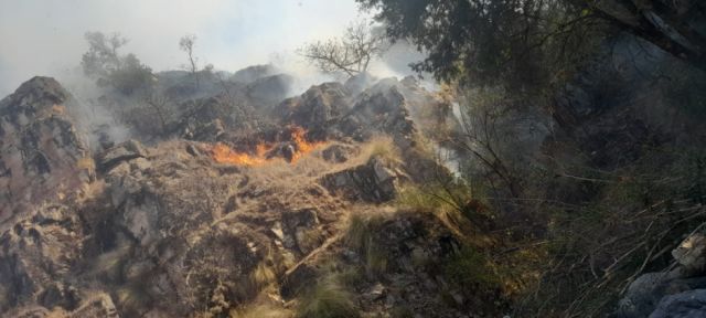 San Lorenzo: Bomberos siguen luchando contra el fuego en Apahuasi 