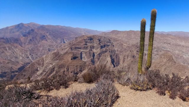 La mirada se pierde en el Cañón del Pilaya