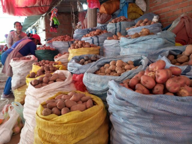 Critican la medición de inflación del INE, no se ajusta a la realidad