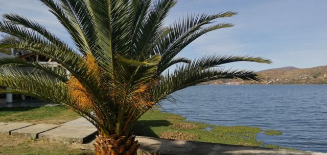 Lago San Jacinto 