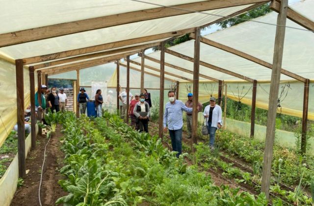 Campesinos ensayan opciones para cuidar cultivos 