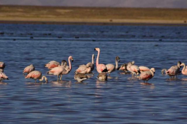 Tajzara mantiene sus niveles  de agua en época de sequía