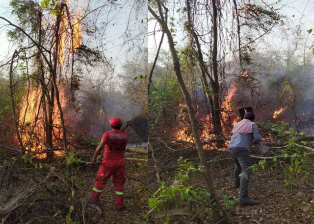 Incendios en Padcaya dañaron más de 200 hectáreas