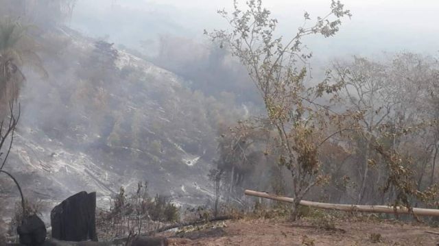 Sedes declara "alerta sanitaria" por incendios en la provincia Arce