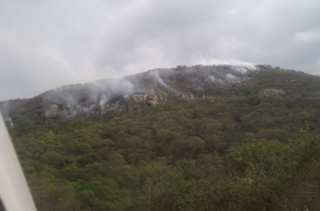 Incendios forestales afectan regiones en Tarija, Santa Cruz y Chuquisaca