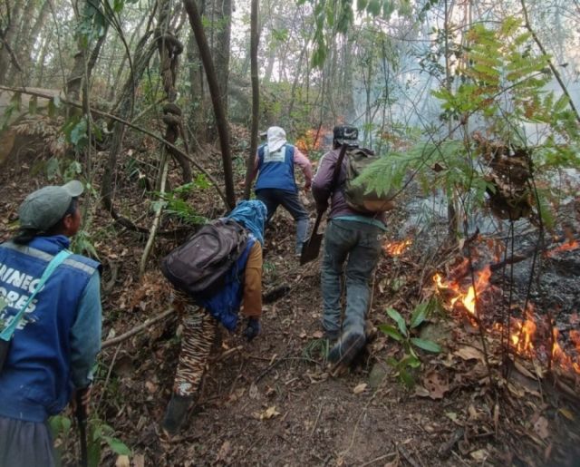 Tarija: 89 focos de calor aun asfixian a Padcaya y Caraparí