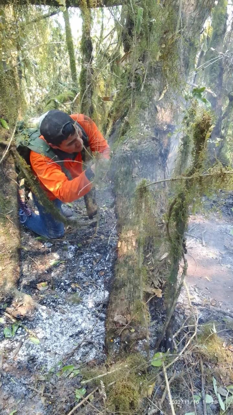 Lluvias no apagaron el fuego en la Reserva de Tariquía