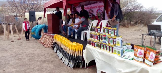 Tarija: Programa “Huertos Urbanos” beneficia a unas 200 familias 
