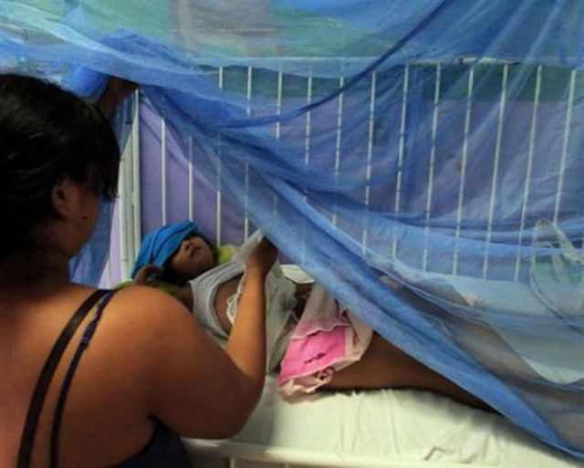 Casos de malaria permanecieron estables en 2021