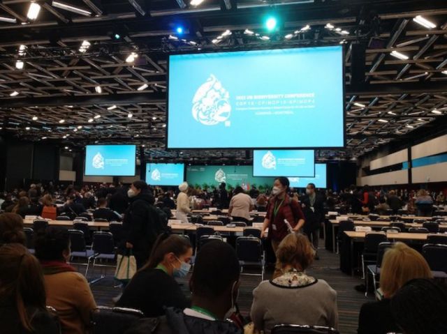 El «momento París» de la biodiversidad no aparece en la cumbre de Montreal